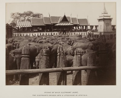 صورة في ألبوم الصور بواسطة مصور غير معروف