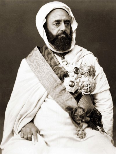 Portrait of Abd el Kader (Abd El-Kader) around 1875. بواسطة مصور غير معروف