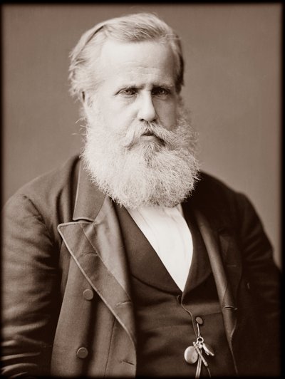 صورة دوم بيدرو الثاني (بيتر الثاني) (بيتر الثاني) (دوم بيدرو دي الكانتارا) (1825-1891) ، إمبراطور البرازيل بواسطة مصور غير معروف