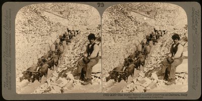 صورة لصبي في محاجر الرخام الشهيرة في كارارا ؛ صورة مجسمة (صورة بالأبيض والأسود) بواسطة مصور غير معروف