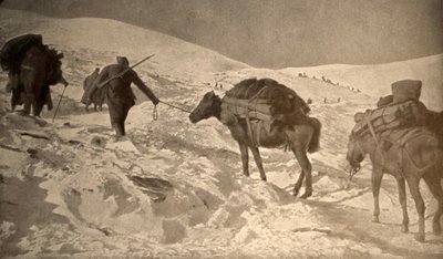  بواسطة مصور غير معروف