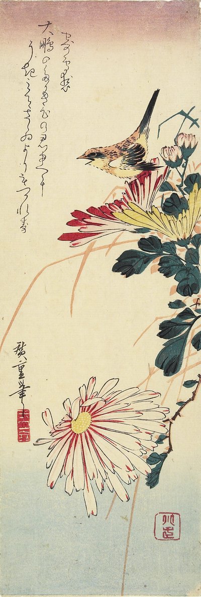 (الأقحوان والصرد) ، 1830-1858 بواسطة Utagawa Hiroshige