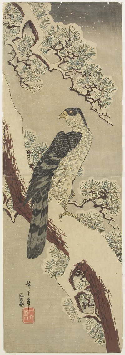 (هوك على فرع باين ، الشتاء) ، أوائل القرن التاسع عشر بواسطة Utagawa Hiroshige