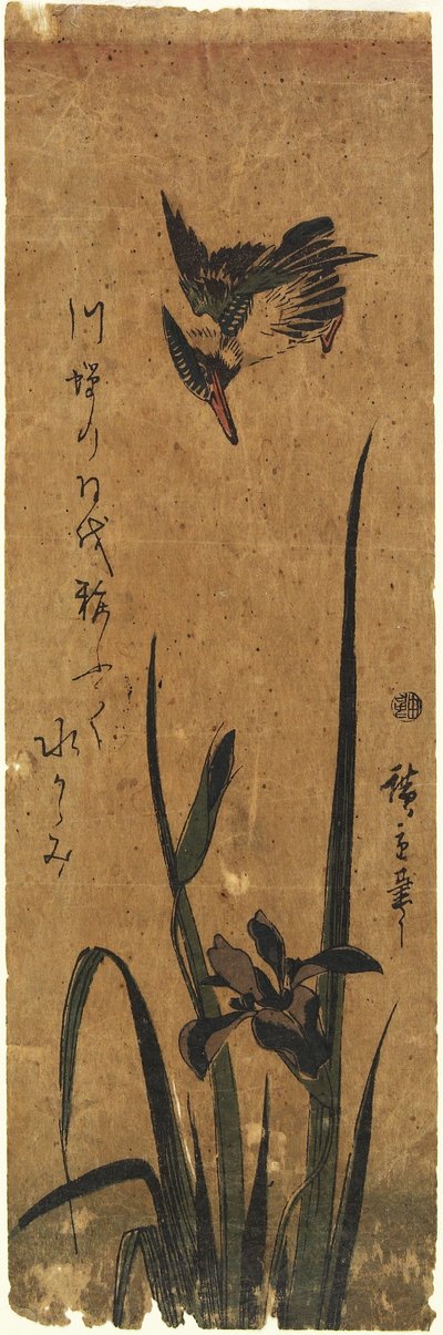 (ايريس وكينجفيشر) ، 1830-1858 بواسطة Utagawa Hiroshige