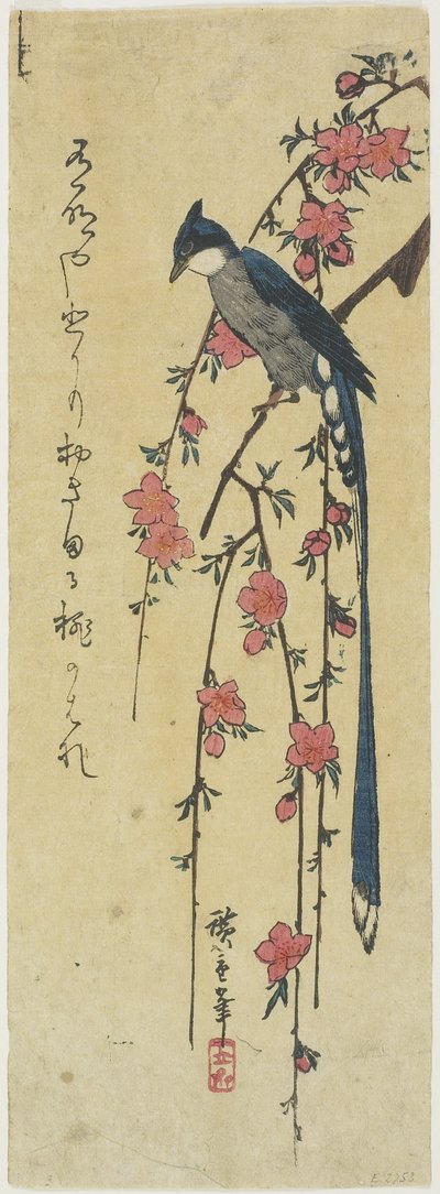 (الديك طويل الذيل على شجرة الكرز المتدلية) بواسطة Utagawa Hiroshige