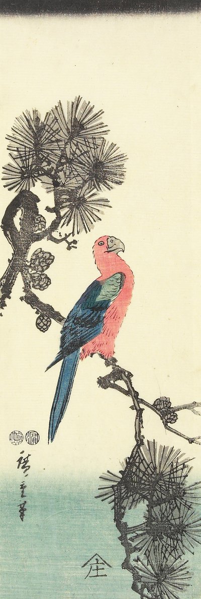 (ببغاء على شجرة الصنوبر) ، 1847-1852 بواسطة Utagawa Hiroshige