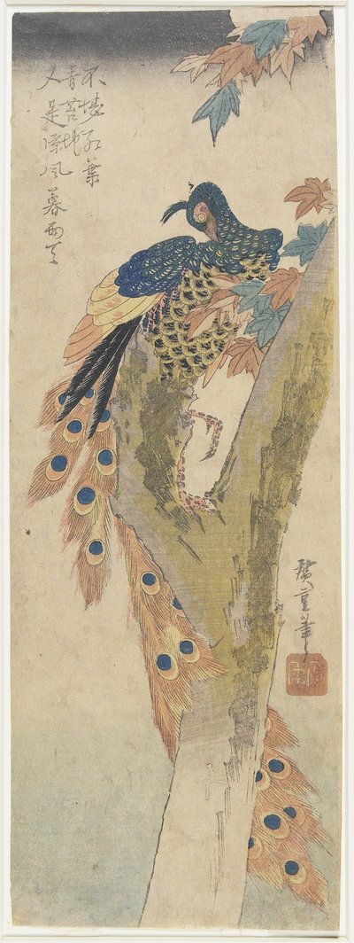 (الطاووس على شجرة القيقب) ، أوائل القرن التاسع عشر بواسطة Utagawa Hiroshige