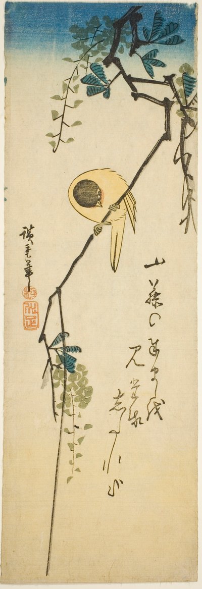 طائر على الوستارية الحريرية بواسطة Utagawa Hiroshige