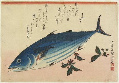بونيتو وأوراق الكرز ، 1832-1833 بواسطة Utagawa Hiroshige