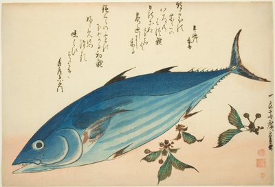 Bonito و saxifrage ، من سلسلة من الأسماك بدون عنوان بواسطة Utagawa Hiroshige