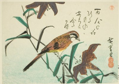 درسة وزنابق بواسطة Utagawa Hiroshige