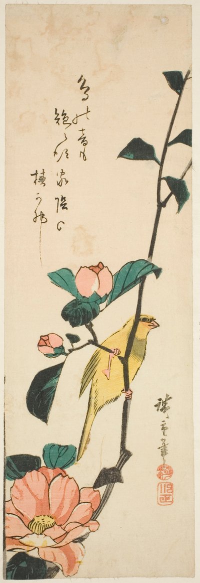 الكناري والكاميليا بواسطة Utagawa Hiroshige