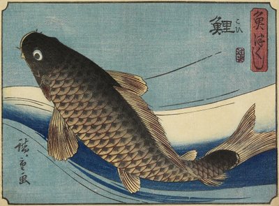 الكارب ، 1830-1844 بواسطة Utagawa Hiroshige