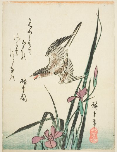 الوقواق يطير فوق القزحية بواسطة Utagawa Hiroshige