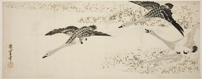 تنازلي الأوز بواسطة Utagawa Hiroshige