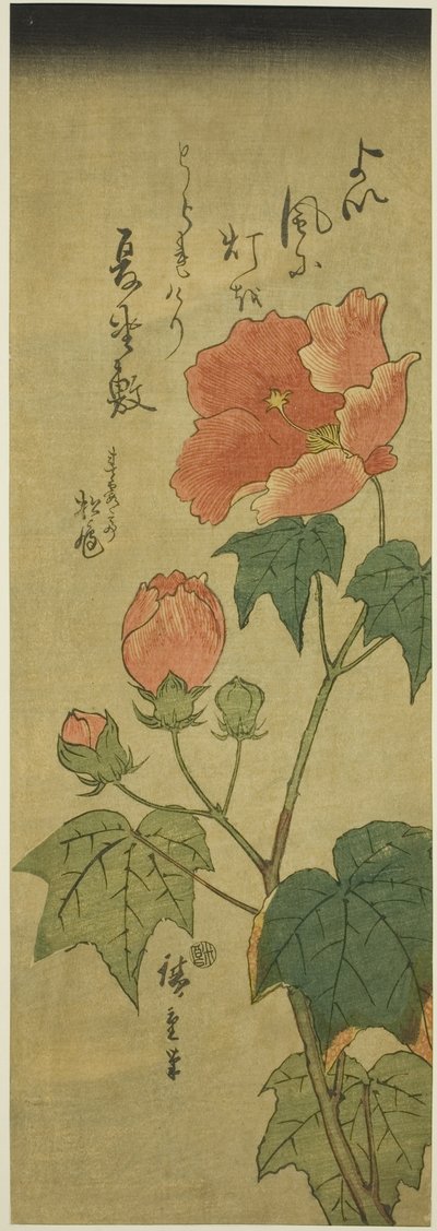 كركديه بواسطة Utagawa Hiroshige
