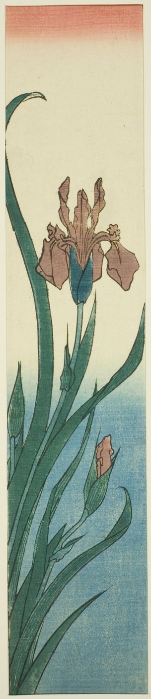 قزحية بواسطة Utagawa Hiroshige