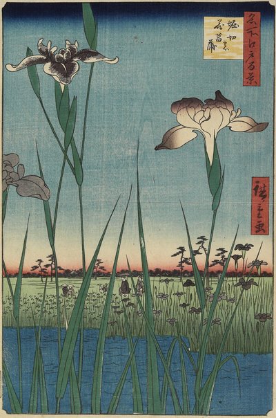 حديقة إيريس في هوريكيري ، مايو 1857 بواسطة Utagawa Hiroshige