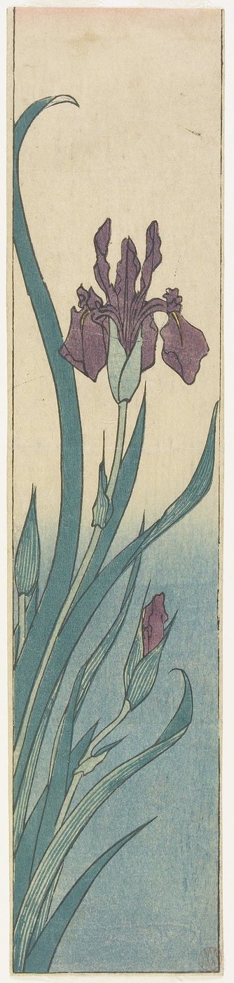 القزحية ، أوائل القرن التاسع عشر بواسطة Utagawa Hiroshige