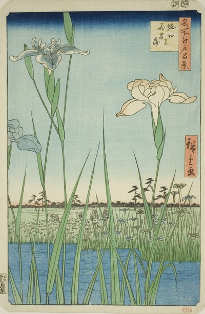 Irase s at Horikiri (Horikiri no Hanadokorobe) ، من سلسلة te s `` Ridge d re d f s Vie ws of Edo (مائة منظر مشهور لإيدو) " بواسطة Utagawa Hiroshige