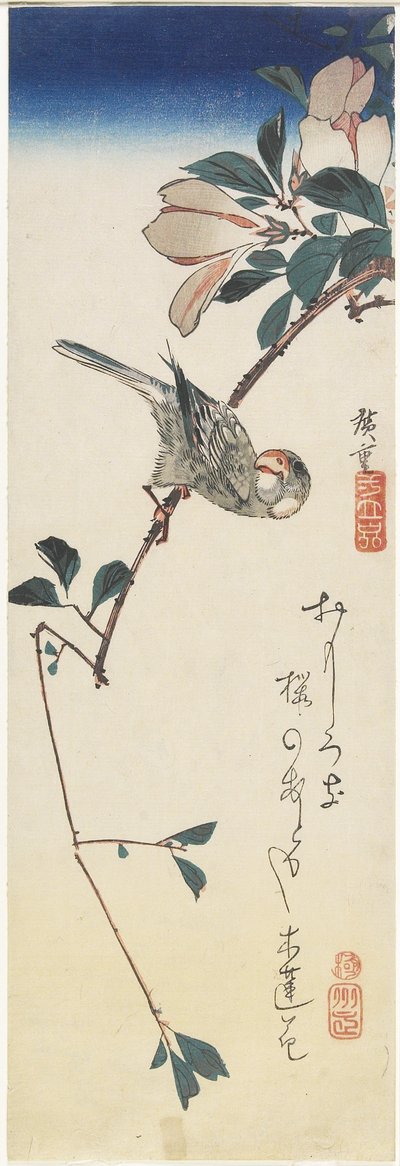 جافا سبارو وماغنوليا ، 1834-1839 بواسطة Utagawa Hiroshige