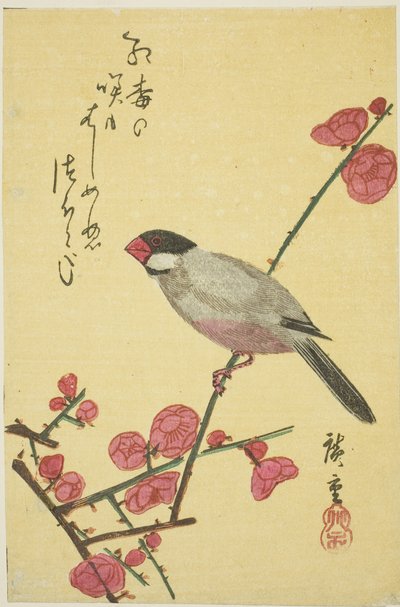 عصفور جافا على فرع البرقوق بواسطة Utagawa Hiroshige