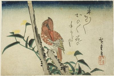 الرفراف وزهرة النهار بواسطة Utagawa Hiroshige