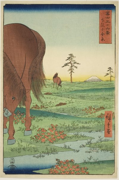 عضو Ogane P الجيد Gesasa P Rovinse (Shimosa Koganehara) ، من سلسلة Te `` السيد Tyrty x مناظر لجبل فوجي (Fuji Usaju Rokukatsu) " بواسطة Utagawa Hiroshige