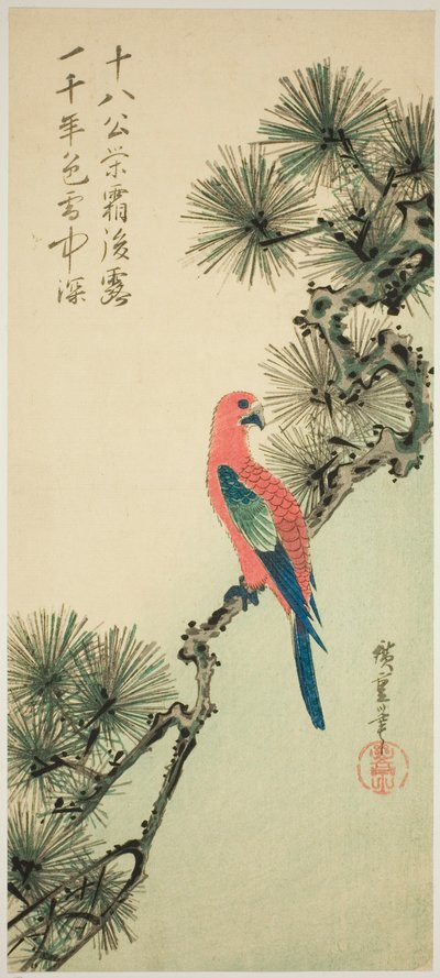الببغاء على فرع الصنوبر بواسطة Utagawa Hiroshige