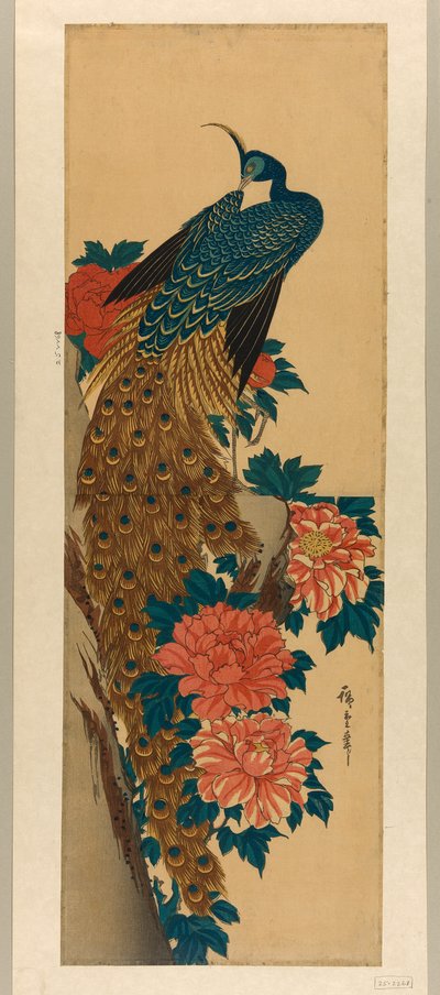 الطاووس والفاوانيا بواسطة Utagawa Hiroshige