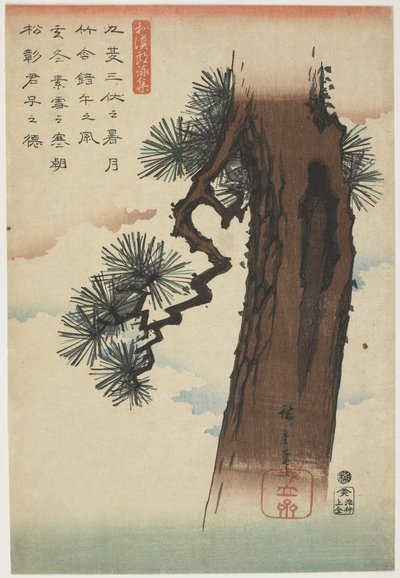 شجرة صنوبر ، 1837-1844 (طبعة خشبية ملونة) بواسطة Utagawa Hiroshige