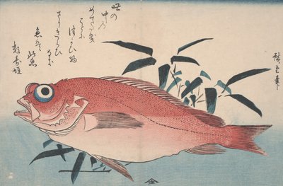 سمك الدنيس وعشب البامبو ، 1840 بواسطة Utagawa Hiroshige