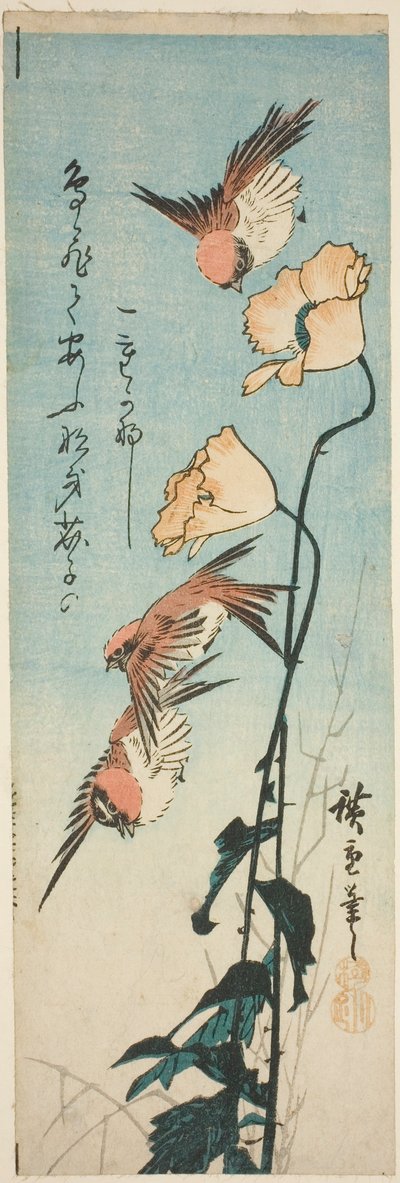 العصافير والخشخاش بواسطة Utagawa Hiroshige