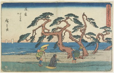 حقل الصنوبر في هاماماتسو 1841-1842 بواسطة Utagawa Hiroshige