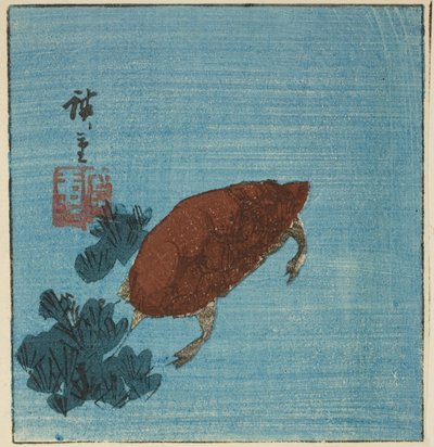 سلحفاة بواسطة Utagawa Hiroshige