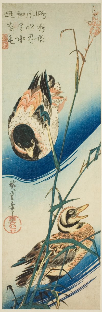 بطتان تسبحان بين القصب بواسطة Utagawa Hiroshige