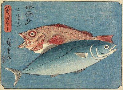 يلويتيل وروكفيش 1830-1844 بواسطة Utagawa Hiroshige