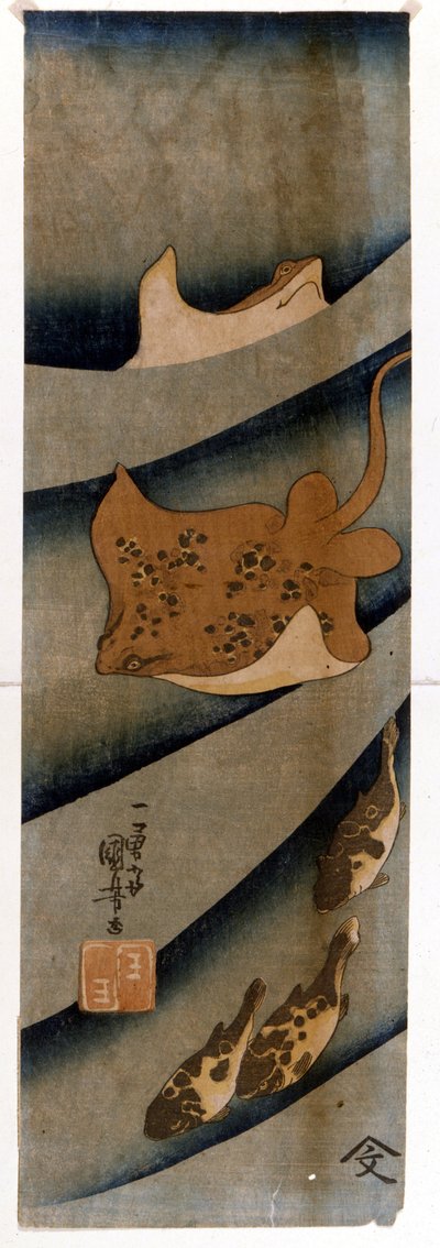 مطبوعات لأوتاغاوا كونيوشي (1797-1861) تصور الأسماك. بواسطة Utagawa Kuniyoshi