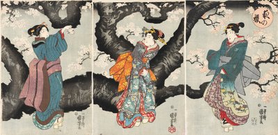 Yoru no sakura [أزهار الكرز في الليل] ، حوالي عام 1846 (طباعة خشبية) بواسطة Utagawa Kuniyoshi