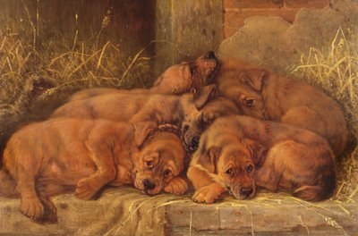 جرو الحب بواسطة عيد الحب توماس جارلاند