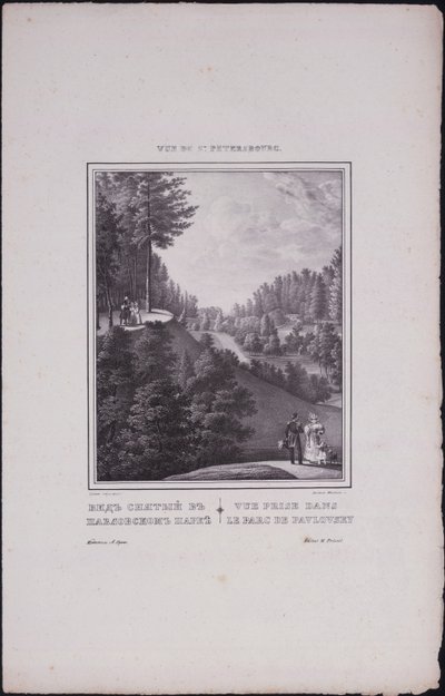 مناظر سانت بطرسبرغ. منظر للحديقة في بافلوفسك ، 1833 بواسطة فاسيلي سيمينوفيتش سادوفنيكوف