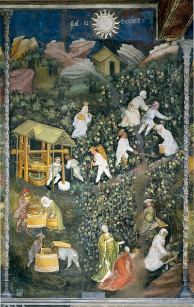 أكتوبر: مشهد الحصاد وحصاد العنب وتحضير الكوسة (عصر النبيذ). اللوحة التي رسمها سيد الأشهر أو ماستر وينسيسلاس (مايسترو دي ميسي أو مايسترو وينسلاو بالإيطالية ، بداية القرن الخامس عشر) تم ترميمها بواسطة مارسيلو فوغولينو حولها بواسطة Venceslao مايسترو