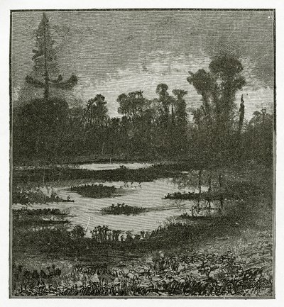 أغاني الشفق ، القرن التاسع عشر (bw engraving) بواسطة فيكتور هوغو
