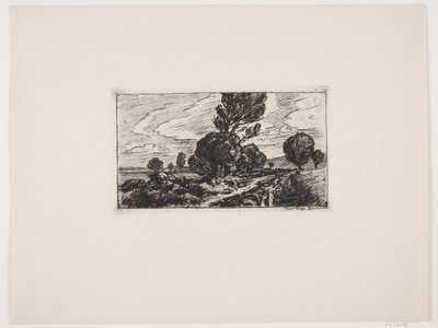 طريق عبر المستنقع بواسطة Viggo Pedersen