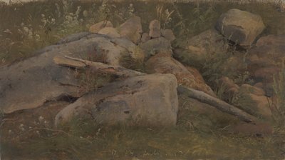 دراسة كومة الحجر بواسطة Vilhelm Petersen
