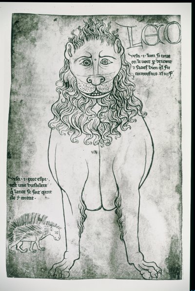 السيدة Fr 19093 fol.24v Lion and Porcupine (الفاكس) بواسطة فيلارد دي هونيكورت