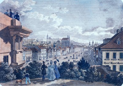 سوق الخيل في ساحة فاتسلاف ، براغ ، 1835 (نقش الفولاذ الملون) بواسطة فينسنت وجيسلر ، ف