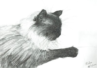 بابي 2000 ، 2000 بواسطة فنسنت الكسندر بوث