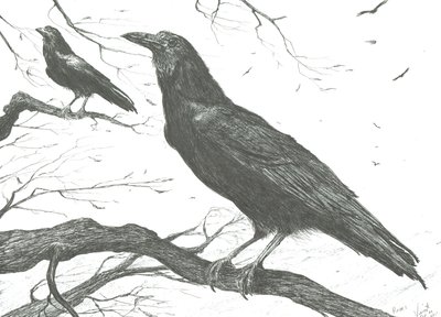 المراقبون ، 2011 بواسطة فنسنت الكسندر بوث