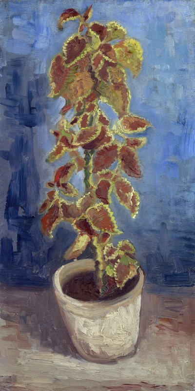 Flame Nettle in a Flowerpot par Gogh، Vincent، van (1853-1890). زيت على قماش ، مقاس 42.1x21.9 بواسطة فنسنت فان جوخ